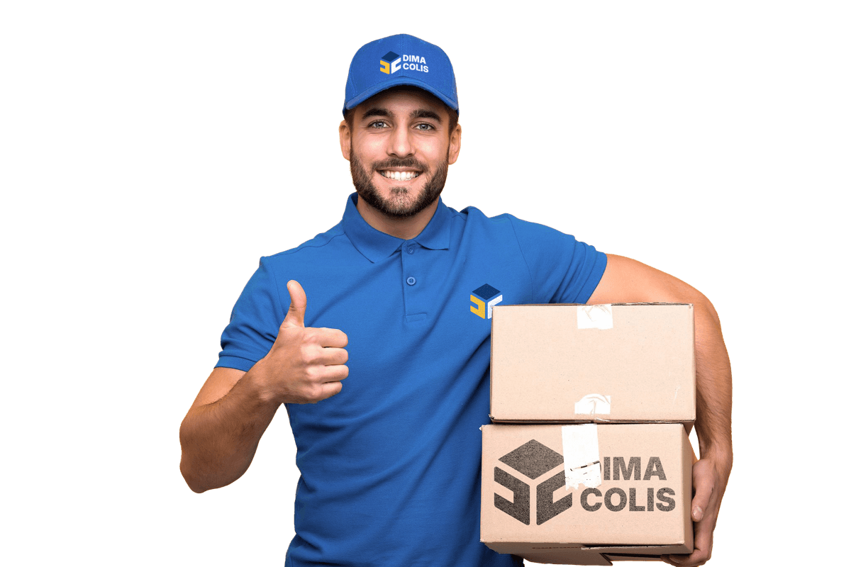 DimaColisA Delivery Van