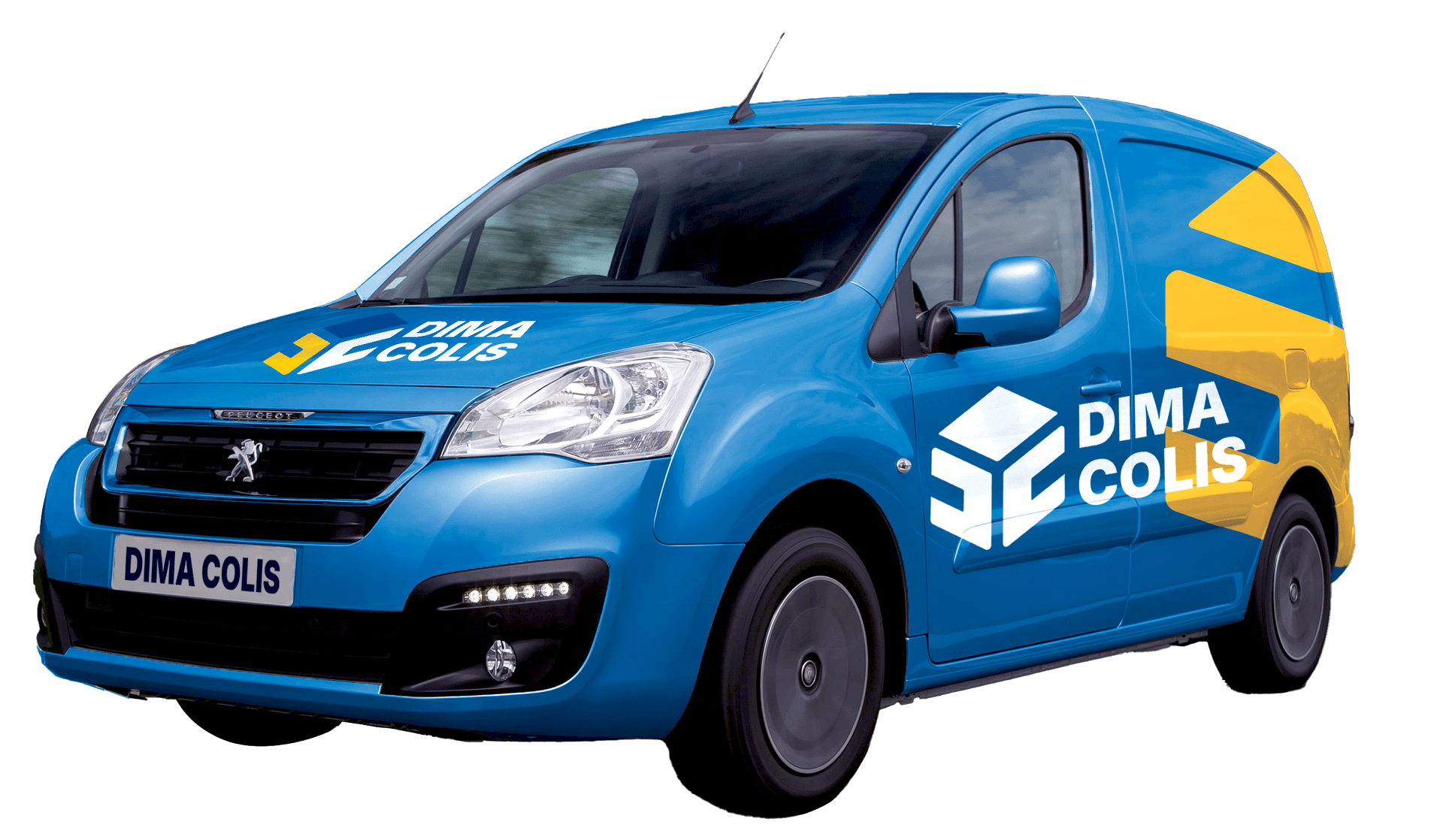 Delivery Professional